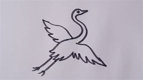 How To Draw A Flying Bird Crane Flying Bird Drawing Easy Step By