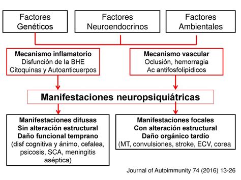 Lupus Eritematoso Sist Mico Ppt Descargar