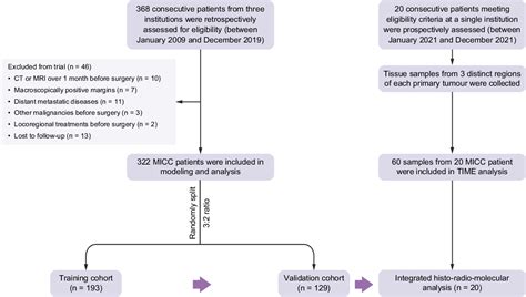 Figure From Translating Imaging Traits Of Mass Forming Intrahepatic