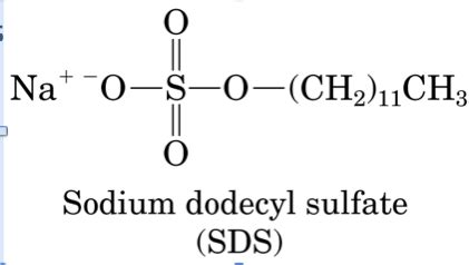 Lab 5 SDS PAGE Sodium Dodecyl Sulfate PolyacrylAmide Gel