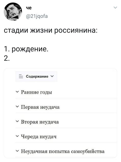 Стадии жизни | Пикабу