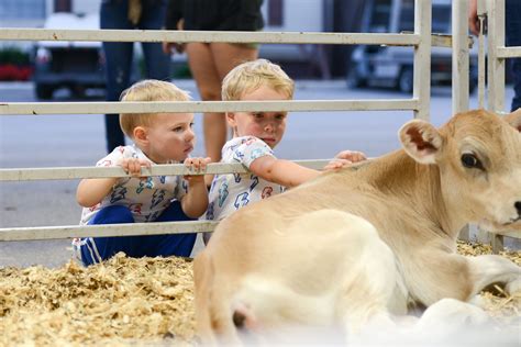 The 168th Ohio State Fair Kids Day + Sensory Friendly Morning ...