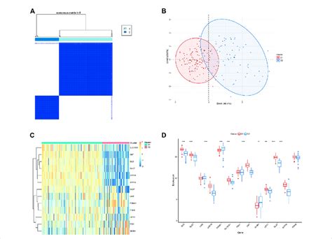 Identification Of Molecular Clusters Associated With Cuproptosis In