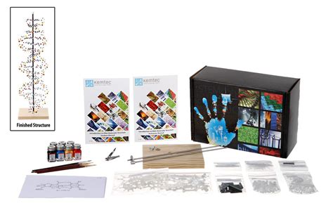 DNA Model Class Kit with Paint, Single Kit - Nebraska Scientific