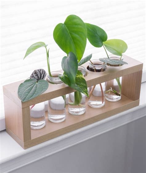 DIY Plant Propagation Station Made of Pretty Glass Jars and Wood