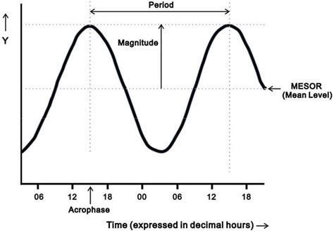 Diagram Illustrating Four Parameters Of The Oscillation From Cosinor