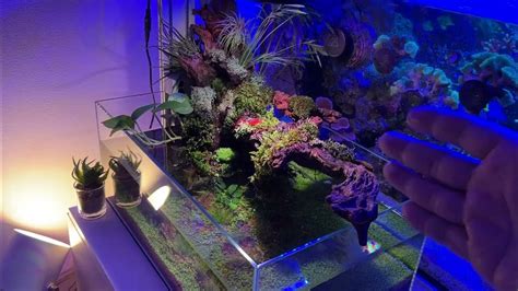 UNS 45S - Planted Tank Aquarium Low Tech Part 3 - Plant Growth - YouTube