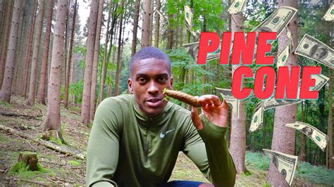 How To Make Money With Pine Cones Youtube