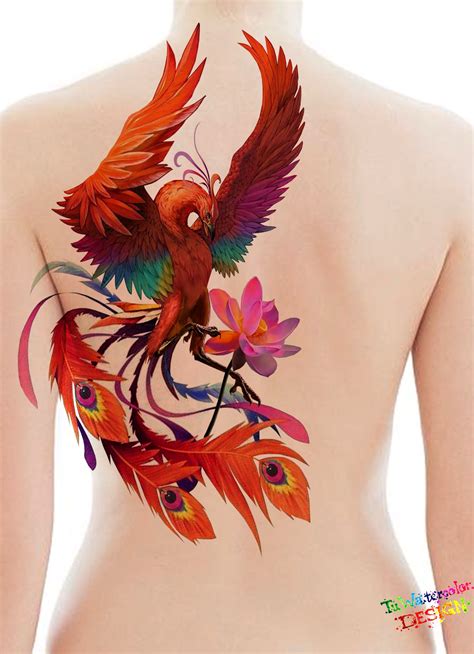 H Nh X M Ph Ng Ho Ng Thi T K B I Artist T Watercolor Phoenix Bird