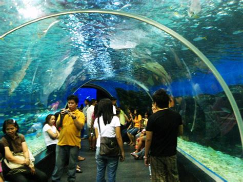 Manila Ocean Park Attractions