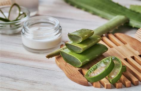 Aloe vera qué beneficios tiene para el pelo y cómo utilizarlo