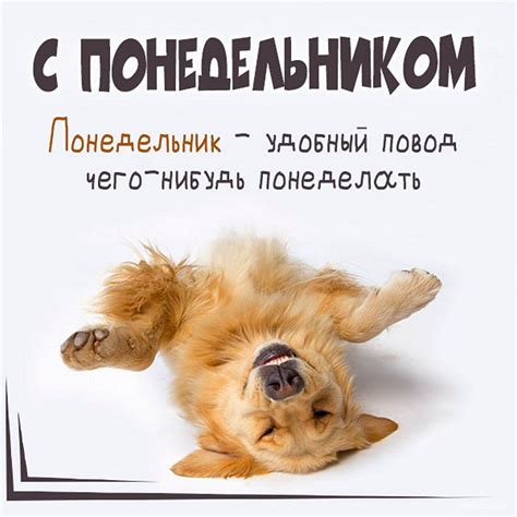 Прикольные открытки с понедельником: встречай начало недели с юмором и ...