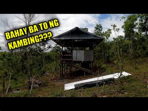 MURANG BAHAY NG KAMBING PALAWAN YouTube