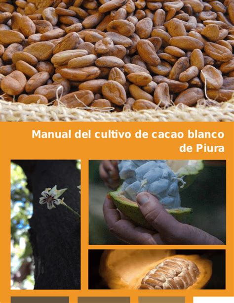 Manual Del Cultivo De Cacao Blanco De Piura