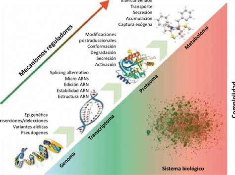 Clasificaci N De Los Principales Biomarcadores Encontrados En Sistemas