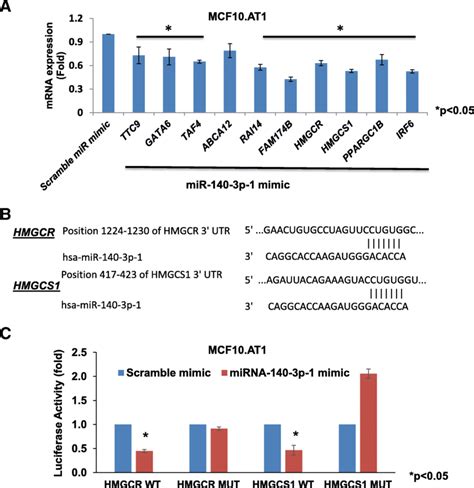 Cholesterol Pathway Mediators Hmg Coa Reductase Hmgcr And Hmg Coa