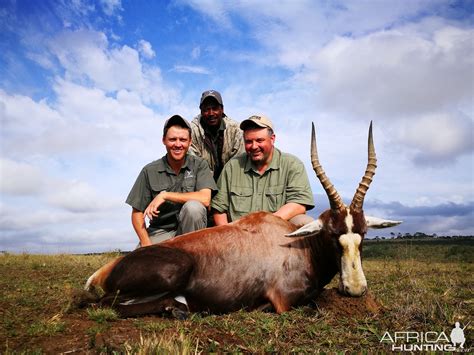 Hunting In South Africa With LJ Safaris AfricaHunting