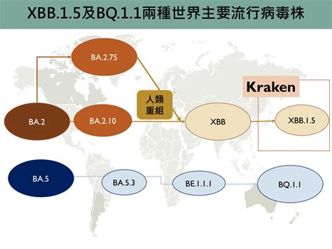 整理包／新冠肺炎確診症狀已改變！2 點跟流感最不一樣、最新變異病毒jn 1是什麼？xbb疫苗還有用嗎？ Heho健康