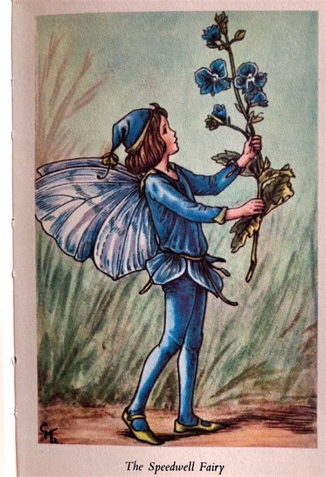 1930s Speedwell Fairy Cicely Mary Barker Print Ideal For Framing