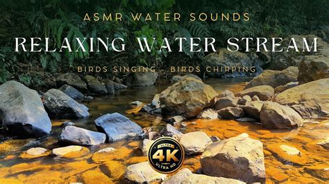 4k Uhd Asmr Relaxing Water Sounds Calm Water Stream Birds Singing