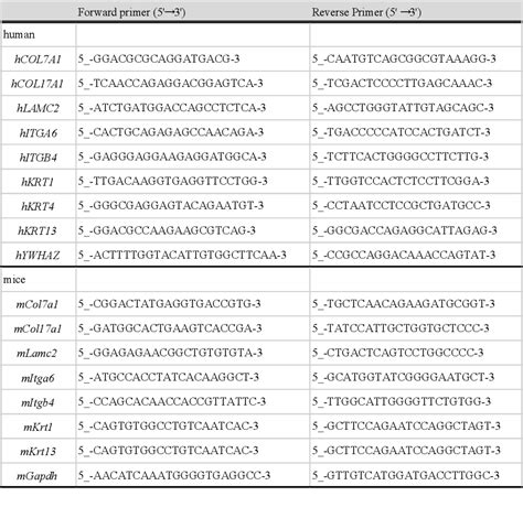 Table From The Differences Of Collagen Xvii Between The Oral Mucosa