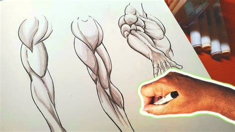 How To Draw Anime Muscles » Phraseguitar