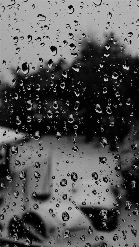 Raindrops Wallpapers Wallpapers