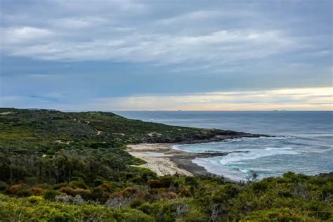 4 Great Lake Macquarie Walking Trails in a Day