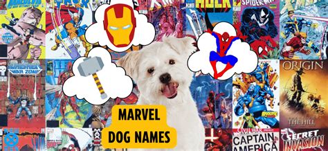 Marvel Dog Names Superhero And Villain Names For Dogs