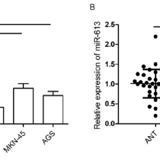 MiR 613 Is Downregulated In GC Cell Lines And Tissues Specimens A