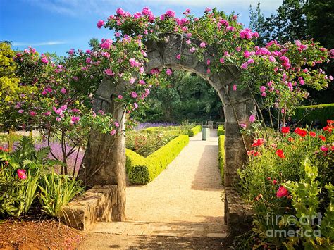 Stone Archway Into The Rose Garden Photograph By Maria Janicki Fine