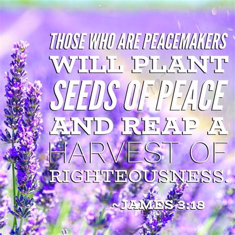 And Those Who Are Peacemakers Will Plant Seeds Of Peace And Reap A