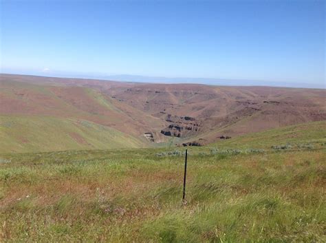 Condon Oregon Farm For Sale — Farmland Company Farmland Management
