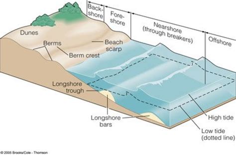 Coastal Erosion Processes Diagram Effects Erosion Coastal Sh