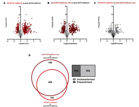 The S Protein Of Group B Streptococcus Is A Critical Virulence