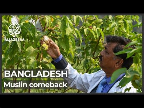 Textile Hub Bangladesh Revives Muslin The Forgotten Elite Fabric YouTube