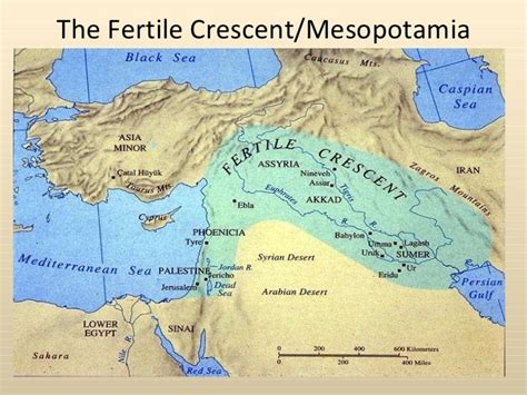 Fertile Crescent Vocabulary Diagram Quizlet