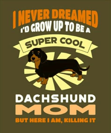 Pin By Christy Branham On Dachshunds Dachshund Puppy Miniature