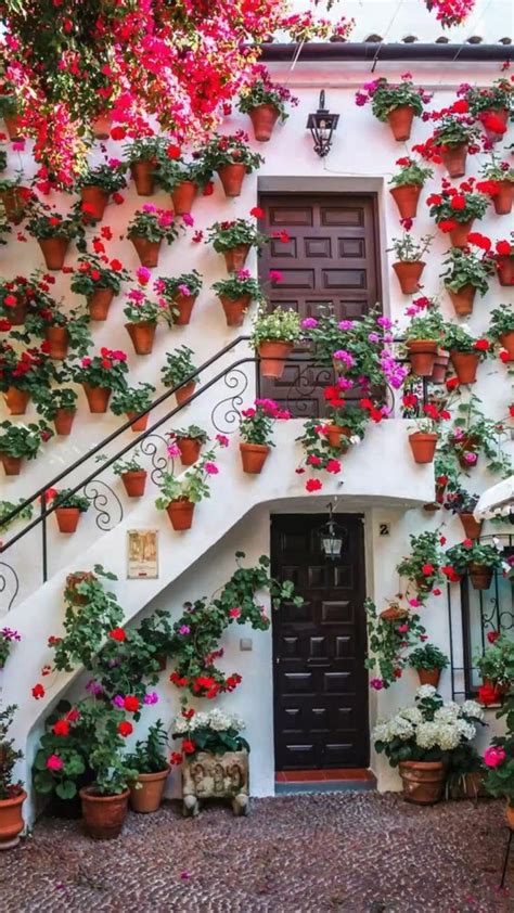 Pin By Erin Sturm On Pins By You Cordoba Spain Cordoba Spanish Garden