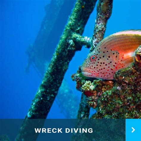 Wreck Diving Speciality Course Oxford Dive Centre