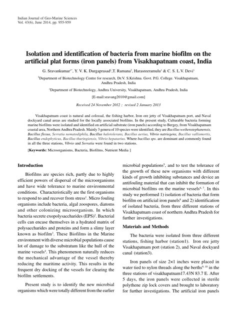 Pdf Isolation And Identification Of Bacteria From Marine Biofilm On