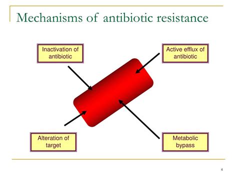 Antibiotic Lock Therapy Definition