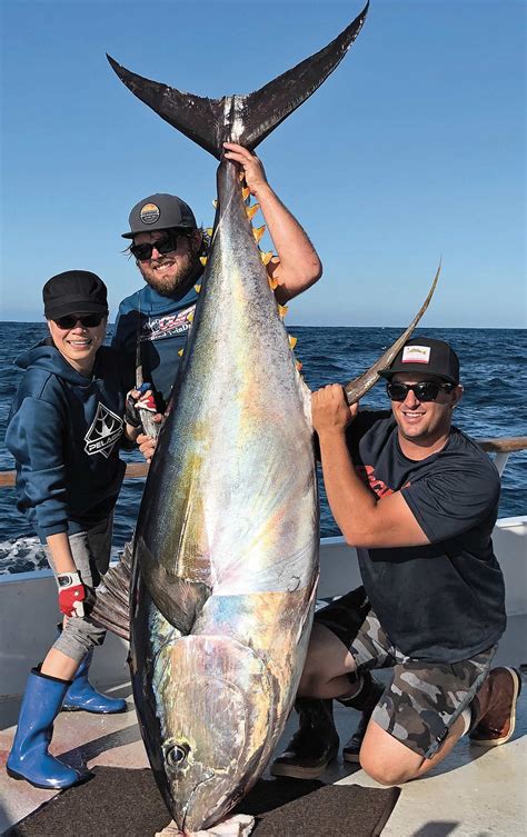 Largest Yellowfin Tuna Bass Fishing