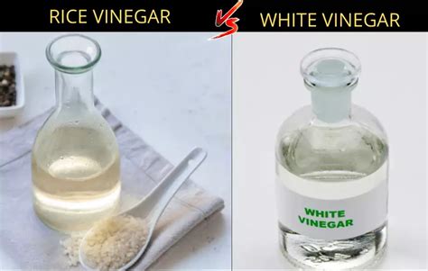 Descubre Las Sorprendentes Diferencias Entre El Vinagre De Arroz Y El