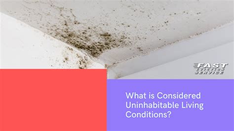 What Is Considered Uninhabitable Living Conditions In California Youtube