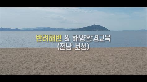 반려해변 해양치유 사연안환경보전연합회 보성 율포해수욕장 현장 스케치 영상오매미디어 Youtube