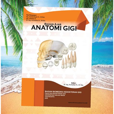 Jual Anatomi Gigi Shopee Indonesia