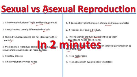 Sexual Vs Asexual Reproduction Differences Between Sexual And Asexual