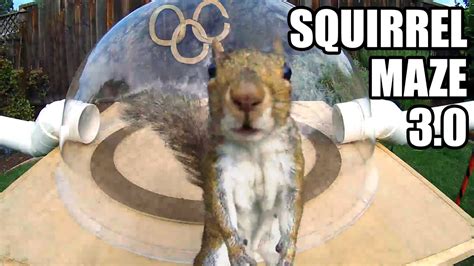 Squirrellympics Cutetropolis