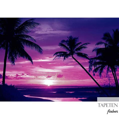 Fototapete Meer Strand Sonnenuntergang Palme Wolken Romantik No